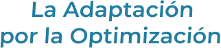 La Adaptaciónpor la Optimización
