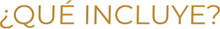 ¿QUÉ INCLUYE?